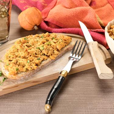 Tartinade de poulet au butternut